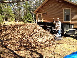 Cleaning the fall leaves for the spring